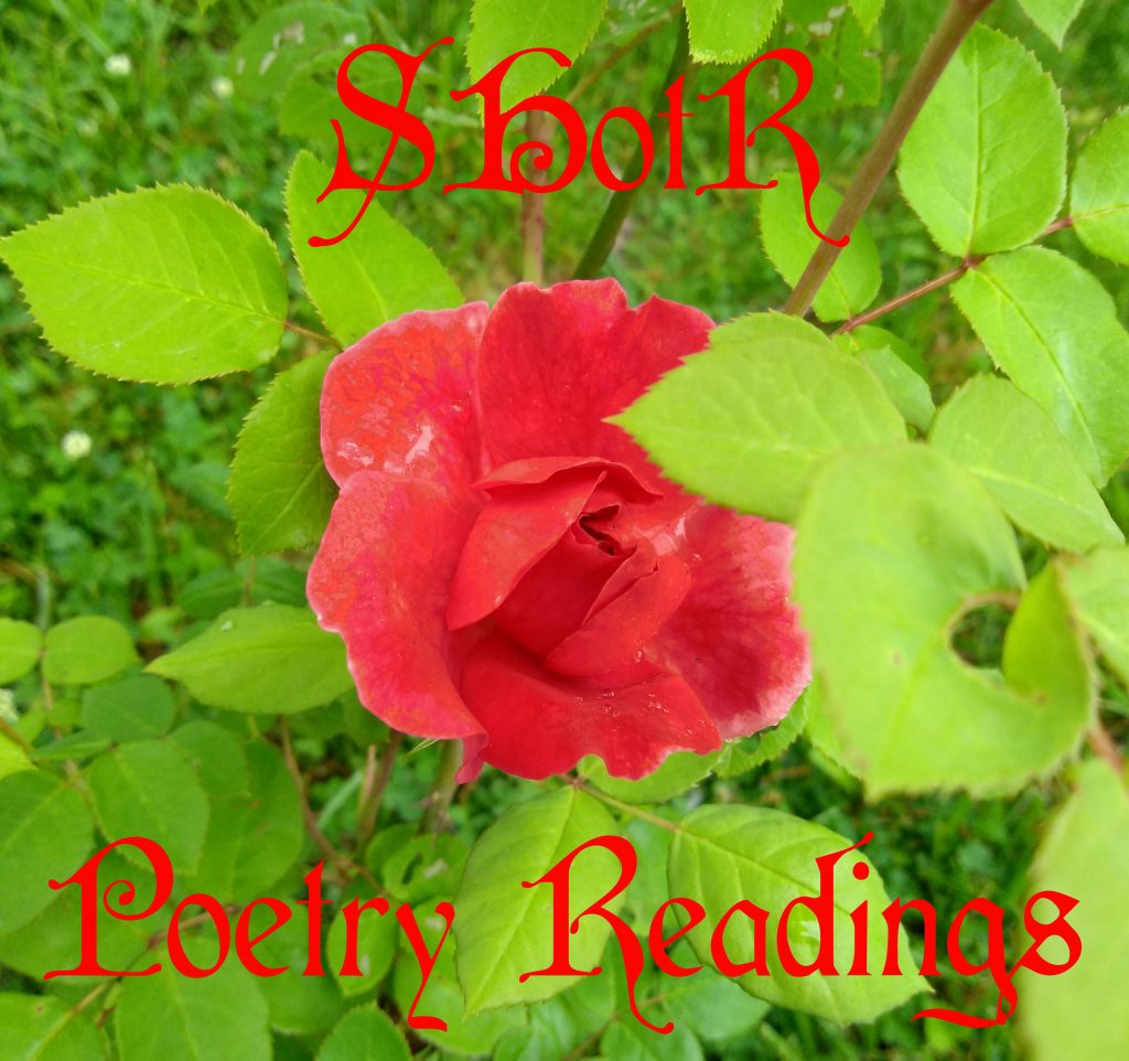 SHotR Poetry Readings image image